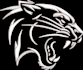embroidery digitizing, logo, digitize image for embroidery patch design