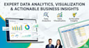 do professional data analysis and visualization in google sheets