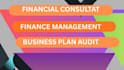 do financial consultation, finance audit