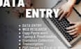 do professional copywriting and accurate data entry