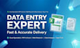 fast and accurate data entry and advance excel work
