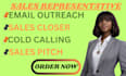 provide professional sales representation for your business