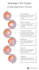 solve your website content challenges no matter the niche
