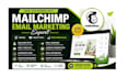 design mailchimp template, fix low email campaign as email marketing specialist