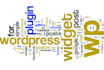 design develop and maintain any kind of web application