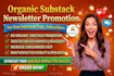 do organic substack newsletter promotion for your substack page, subscribers