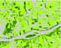 satellite imagery analysis, ndvi and remote sensing