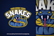 do hgih quality modern custom snack, viper logo