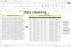 do excel data cleaning,formatting,data cleanup or csv files