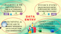 do data entry,  data mining,  financial data entry
