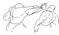 create high quality 2d hand drawn frame by frame animation