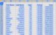 do manual typing from PDF or image to excel sheet