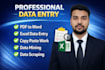 provide accurate data processing and web research services