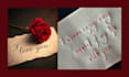 be couples counselor, relationship coach and provide advice