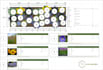 send a ready made planting plan for full sun flower beds and borders