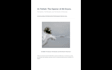 write engaging islamic newsletter content and emails
