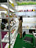 provide chinese english support on canton fair