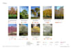 design your dream garden and create 2d plan tailored to your property