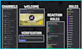 create and setup a professional discord server