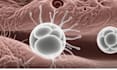 create 3d medical animation, anatomy animation, medical explainer video