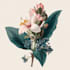 draw botanical illustration flower, plant