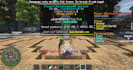 develop a professional minecraft server