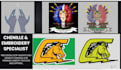 do professional embroidery and chenille digitizing