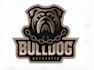 create professional and specially bulldog logo design