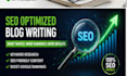 write SEO blog posts and high quality articles