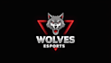 design outstanding wolf head mascot logo with express delivery