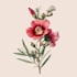 flowers, leaves, fruits, plants