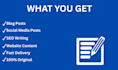 write professional medical and health SEO articles