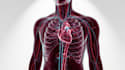 create professional medical animation and video