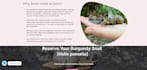 racheal web smith site
