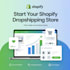 create a professional shopify dropshipping store