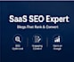 write SEO blog posts for saas websites