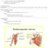 make concise and high quality medical articles and notes