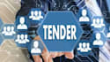 prepare tender or bid proposal for construction, logistics, or IT contracts