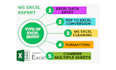 do excel data cleaning, formatting and data analysis