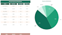 create a professional budget tracker or financial model in excel