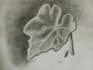 create digital art, pencil drawing, canva