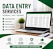 l do accurate excel data entry, data cleaning and copy paste