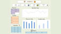 do data entry and excel visualization