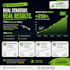 provide professional SEO audit and on page optimization