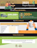 design professional data driven infographics