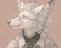 create a high quality custom furry illustration or fursona