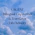 do urgent bilingual copywriting  and translations