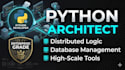 develop professional python scripts for custom automation