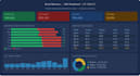 create professional mis reports and excel dashboards