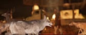 do realistic vfx cgi compositing for films and videos